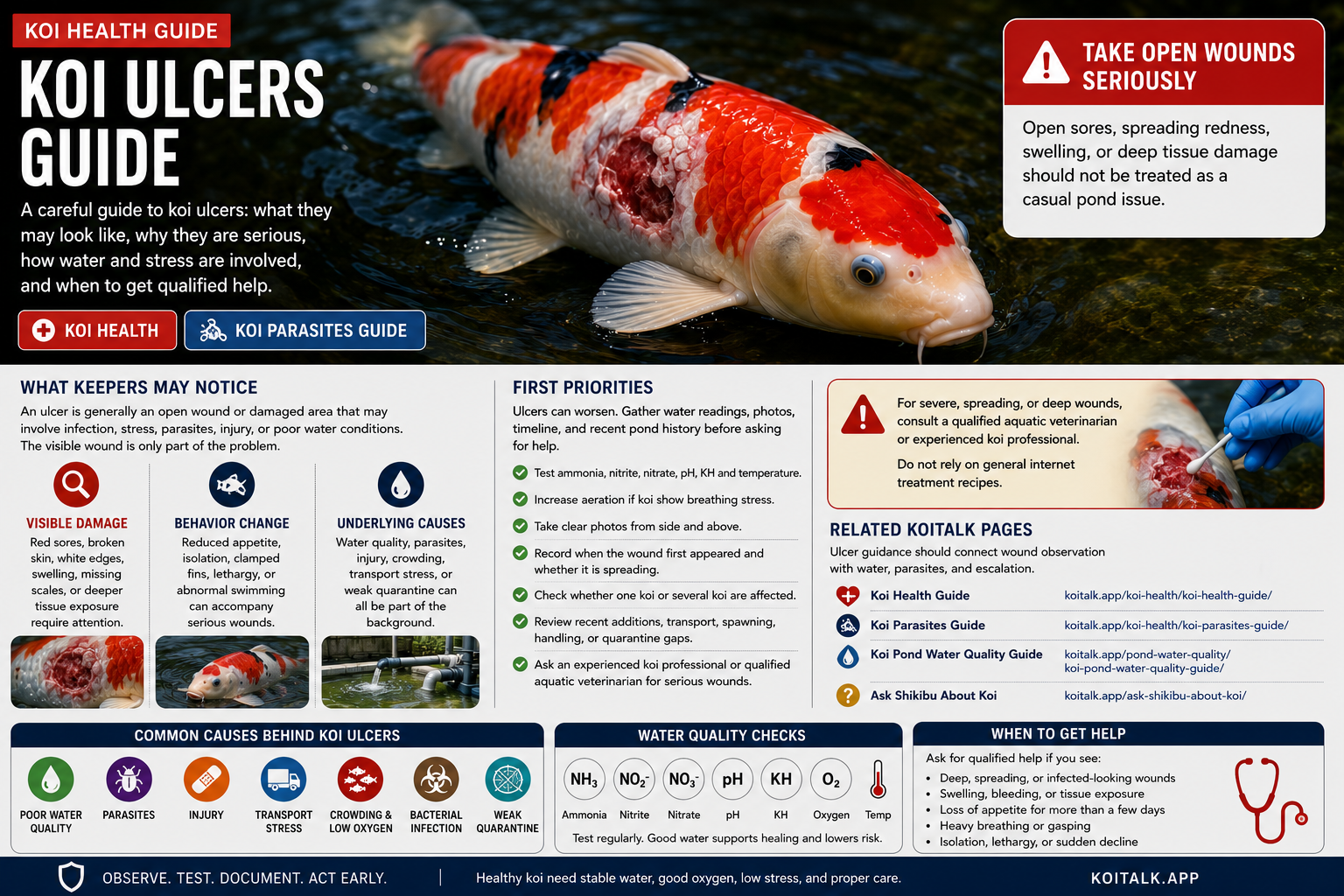 Koi ulcers guide showing koi health check and water testing