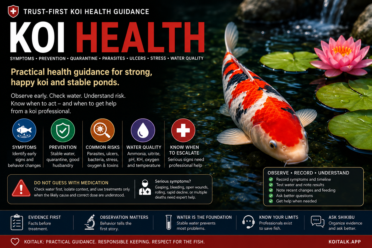 Koi Health practical guidance for symptoms prevention and water quality
